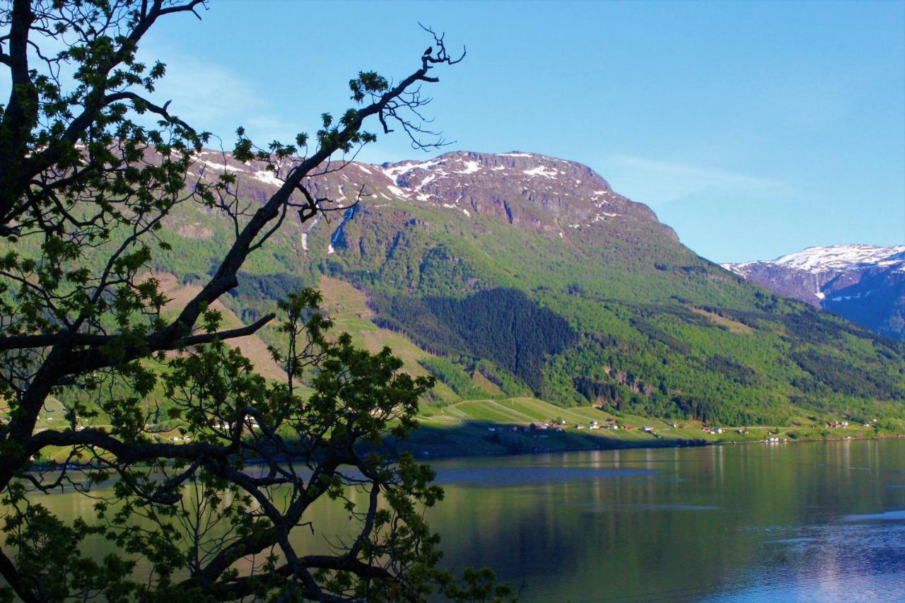 Vila Fjord House Grimo Exteriér fotografie
