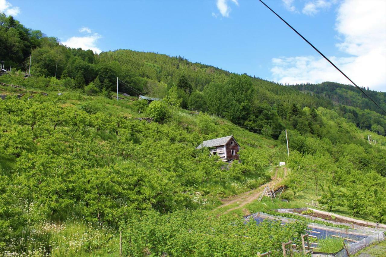 Vila Fjord House Grimo Exteriér fotografie