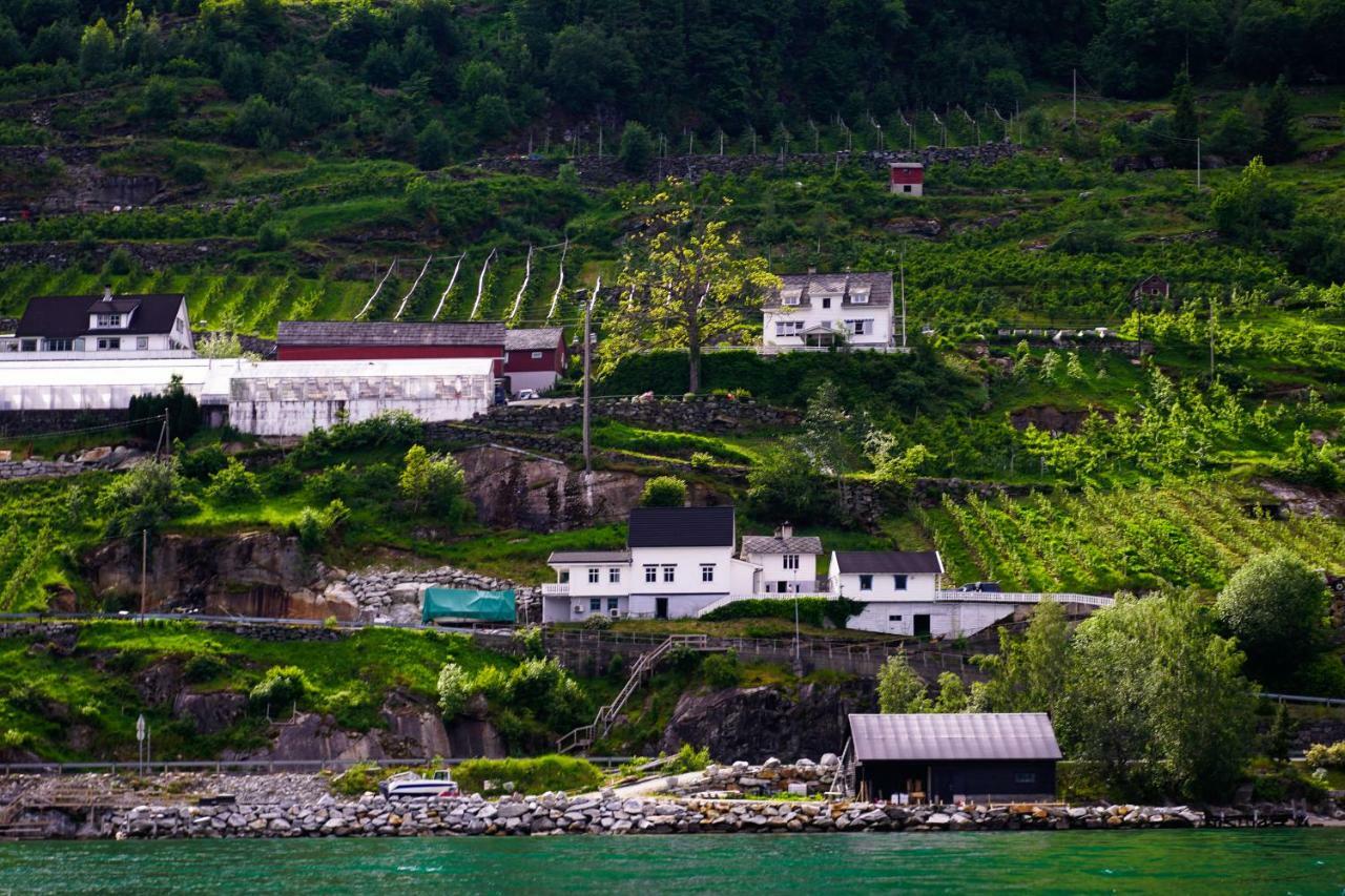 Vila Fjord House Grimo Exteriér fotografie